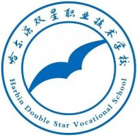 哈尔滨双星计算机职业技术学校logo