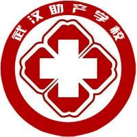 武汉助产学校logo