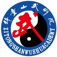 淄博梓童山武术学校logo