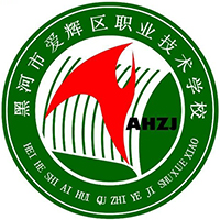 黑河市爱辉区职业技术学校logo