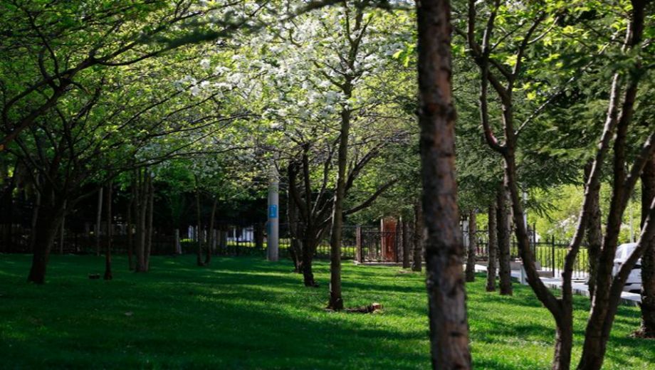 长春市博泰医药中等职业学校banner