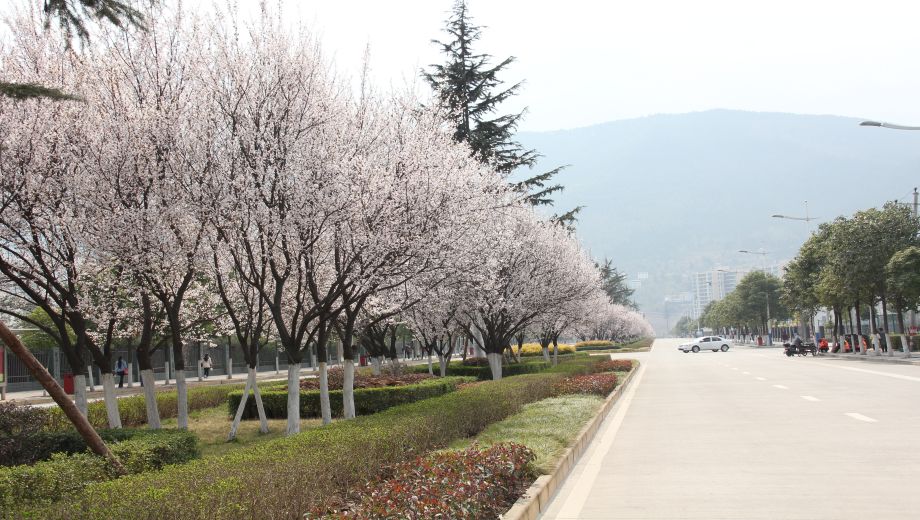 四川省广元市职业高级中学校banner